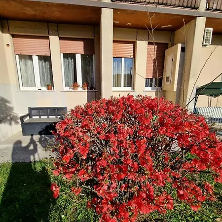Liberty Guest house