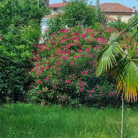 Liberty * Gorizia